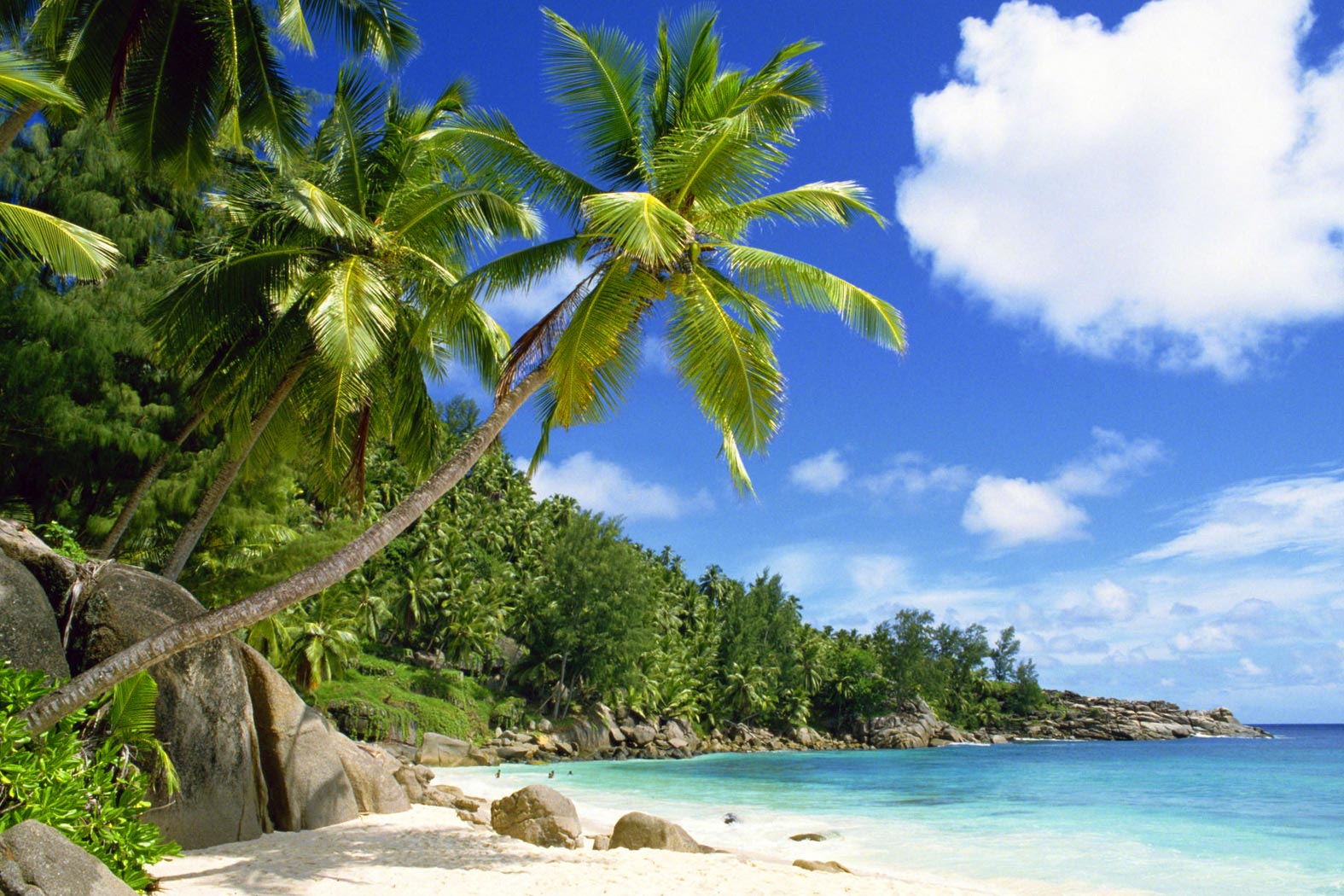 Уникальный мир Сейшельских островов