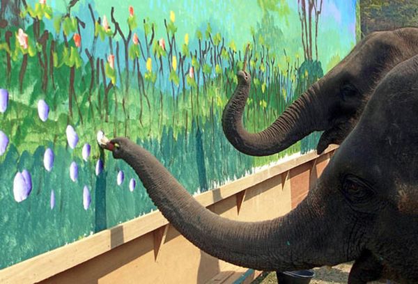 Картина нарисованная слоном. Рекорд книги Гиннеса